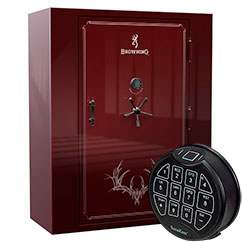 Biometric Gun Safes