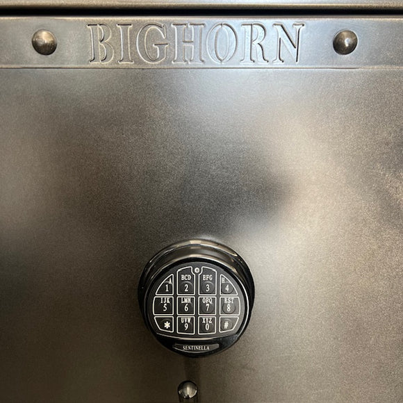 USED Bighorn Gun Safe, photo 7